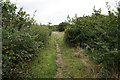 Coastal path towards Gurnard