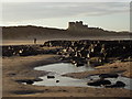 NU1835 : Bamburgh Castle, Northumberland by I Love Colour
