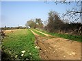 Track to Stonebery Plantation