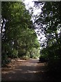 Path through Bedford Park