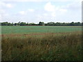 Farmland east of Legbourne