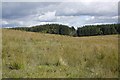 NS6692 : Rough grazing, Ballochleam by Richard Webb