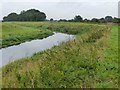 The River Torne near Scawcett