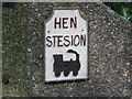 Hen Stesion