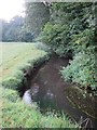 The River Aller near Holnicote House