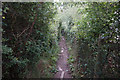 SZ4693 : Footpath leading to Sticelett by Ian S