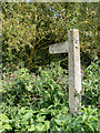 TL4917 : Footpath Sign, River Stort Navigation, Spellbrook, Essex by Christine Matthews
