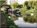 Jenny, narrowboat on Paddington Branch canal, with swans