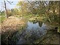 Sherborne Brook