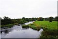 N7476 : River Blackwater, near Kells, Co. Meath by P L Chadwick