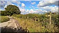 On the Gritstone Trail