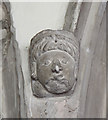 TL6459 : St Peter, Stetchworth - Label head by John Salmon