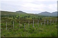 Moorland near Tongue