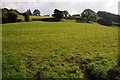 Farmland below Cwm Panteinon