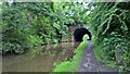 Peak Forest Canal approaching bridge 13a