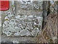 Benchmark on letterbox, Vachelich, Pembrokeshire