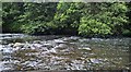 River Tame in Haughton Dale