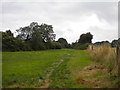 Footpath to Gedling Wood