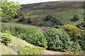 Silent Valley waste tip & Nature Reserve