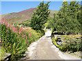 Access road for Gategill Farm