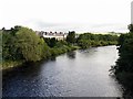 River Tyne east of Bellister Bridge