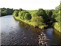 NY6963 : River South Tyne from Haltwhistle by-pass bridge by Andrew Curtis