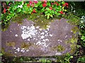 SN2910 : Old water trough - The Lacques Laugharne - dated 1909 by welshbabe