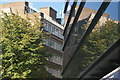 View of a tree reflected in the shopping centre on Upper Thames Street