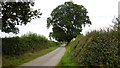 Lane to Longford