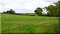 Corner of a pasture near Mickley, 2