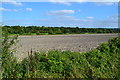 SU2258 : Ploughed field beside the A338 by David Martin