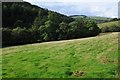 Valley to the west of Porthrhyd