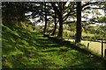 Footpath near Pooley