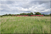TQ0868 : Train approaching Upper Halliford station by Alan Hunt