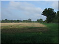 Stubble field and hedgerow beside Church Road