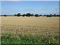 TM0267 : Stubble field, Wyverstone Street by JThomas
