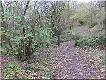 SO3383 : Path to Bury Ditches by Richard Webb