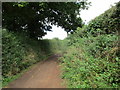 Track to Cobhill Rough