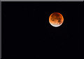 SP2754 : Total Lunar Eclipse by David P Howard