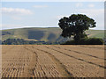 Fields in the shadow of the Uffington White Horse