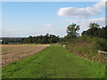 Footpath on arable field margin, near Goat Hall, Chelmsford