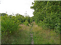  : Footpath to Widford, Chelmsford by Roger Jones
