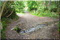 Ford at St Winnow