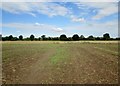 Footpath  over  field  to  Spen  Lane