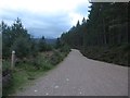 NH9508 : Track in Glenmore Forest by Graham Robson