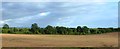 Ploughed fields east of A48