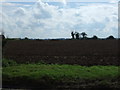 Field south of Bury Road (A143)