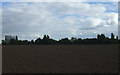 Flat farmland south of Bacton