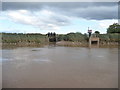 SE8613 : Outfalls from Lysaght's Drain, east bank, River Trent by Christine Johnstone