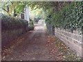 Footpath - Milnthorpe Lane